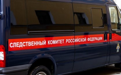 В Майминском районе в отношении подростка возбуждено уголовное дело о совершении преступления против жизни и здоровья